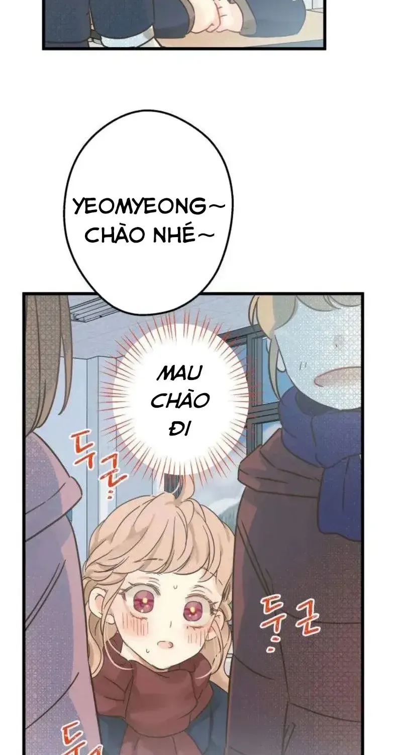 Chapter 3