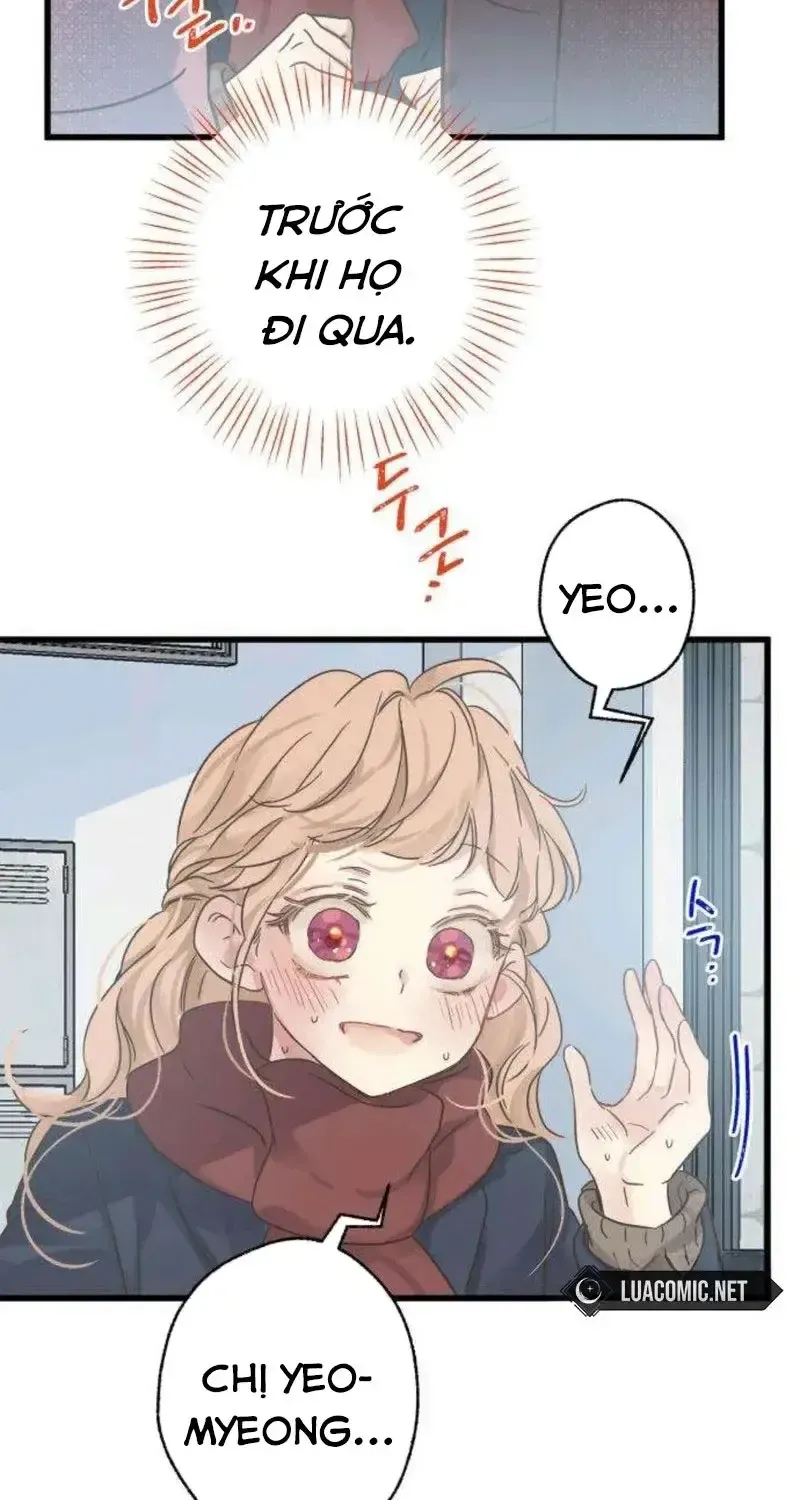 Chapter 3