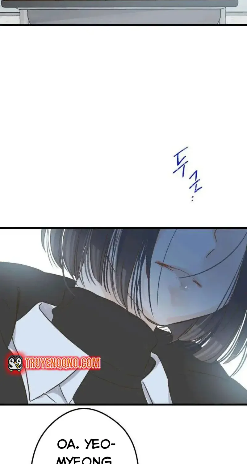 Chapter 3