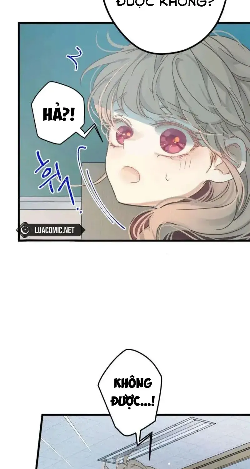 Chapter 3