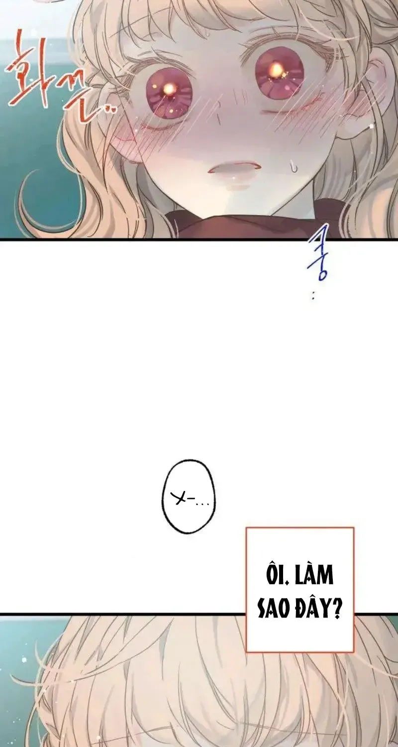Chapter 3