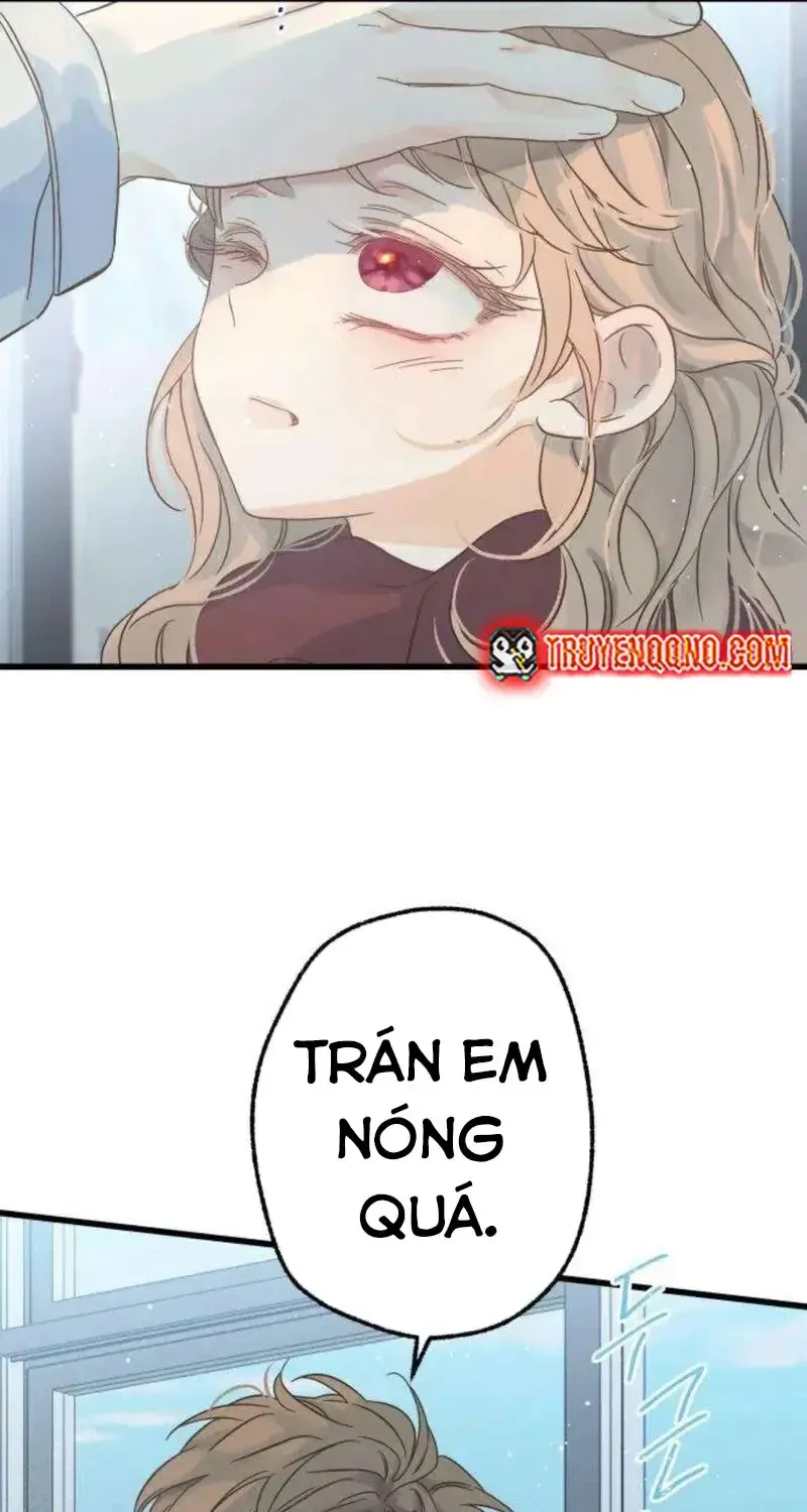 Chapter 3