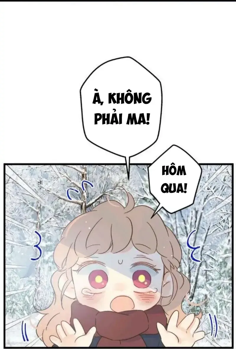 Chapter 3