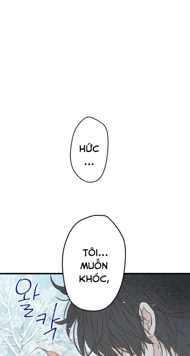 Chapter 4