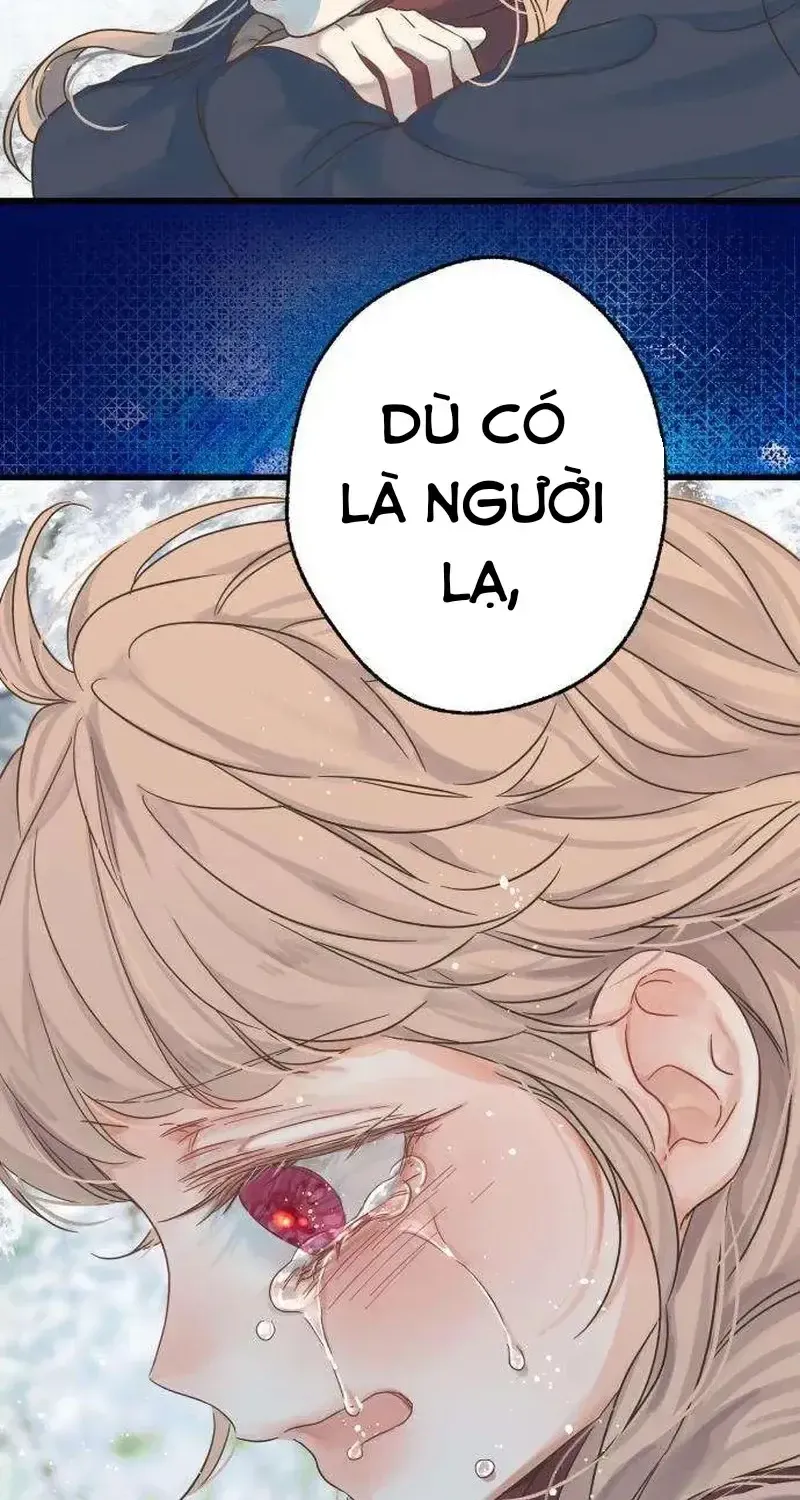 Chapter 4