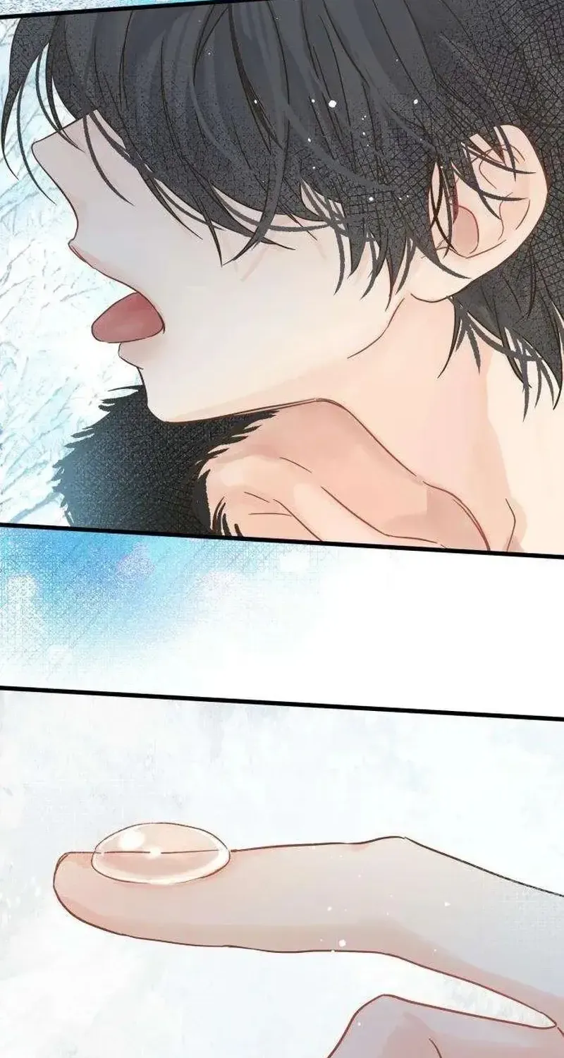 Chapter 4