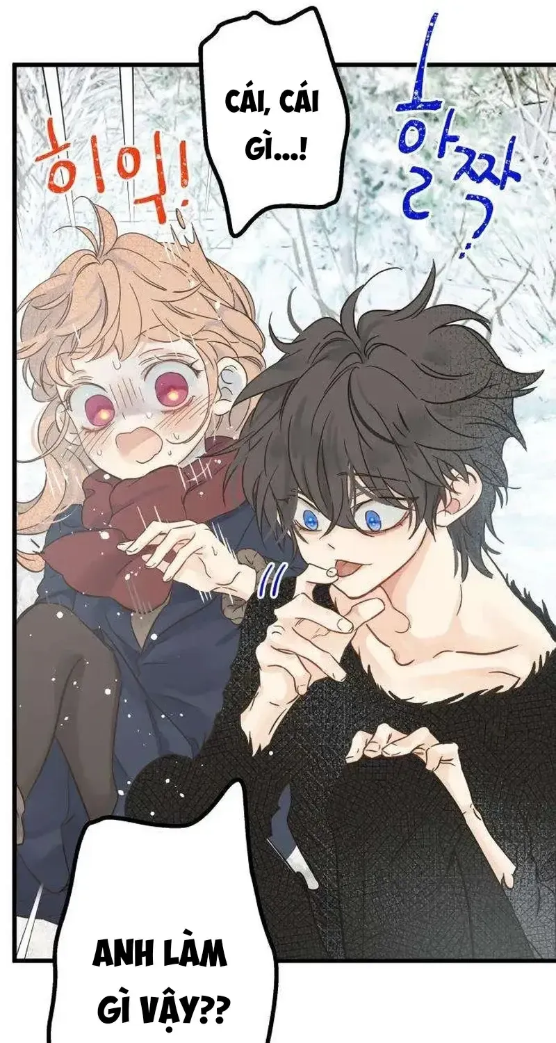 Chapter 4