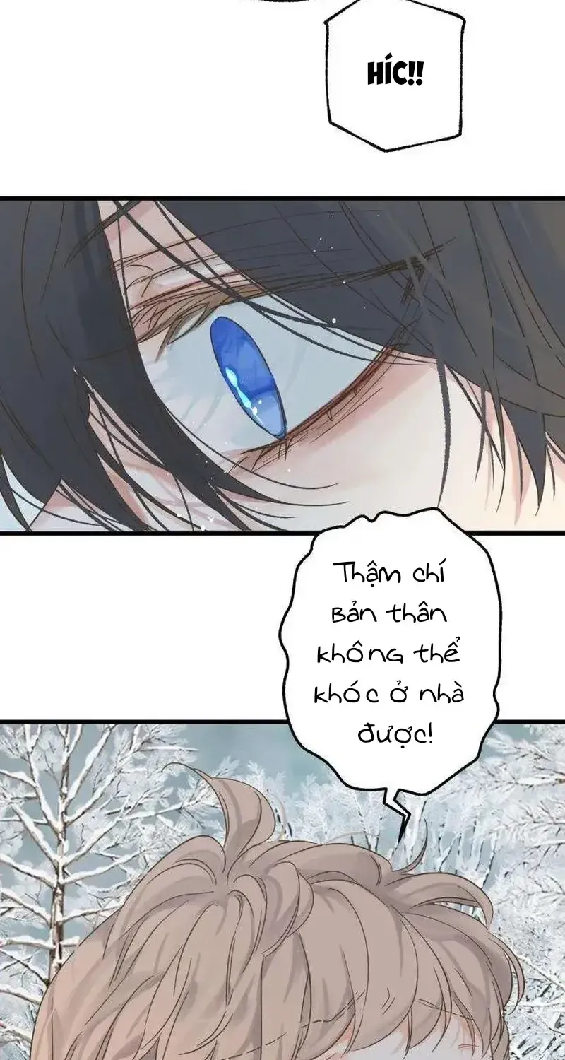 Chapter 4