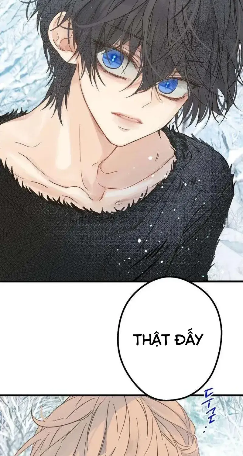 Chapter 4