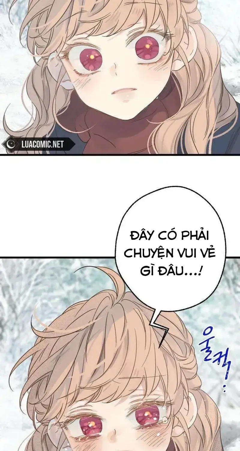 Chapter 4