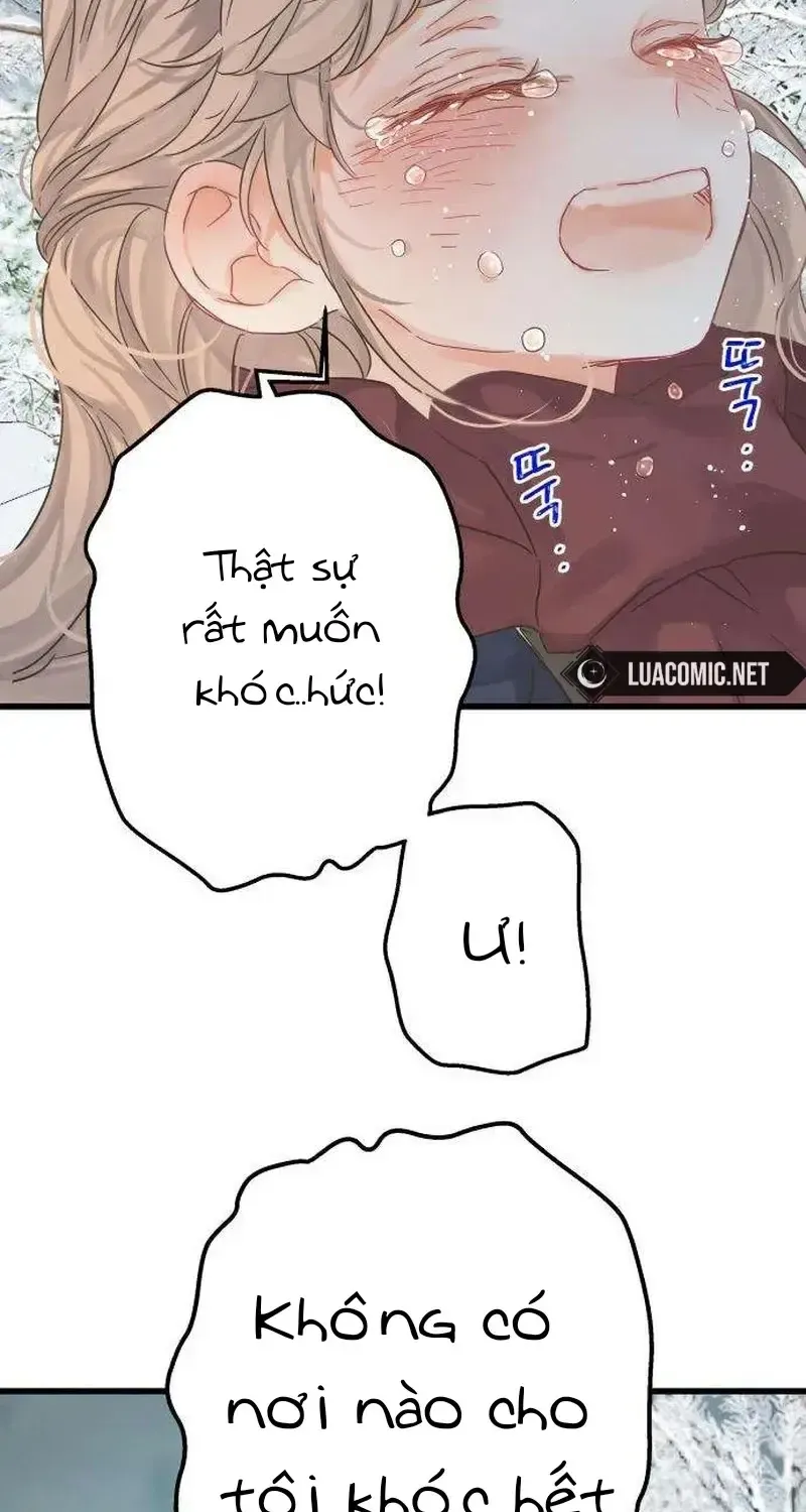 Chapter 4