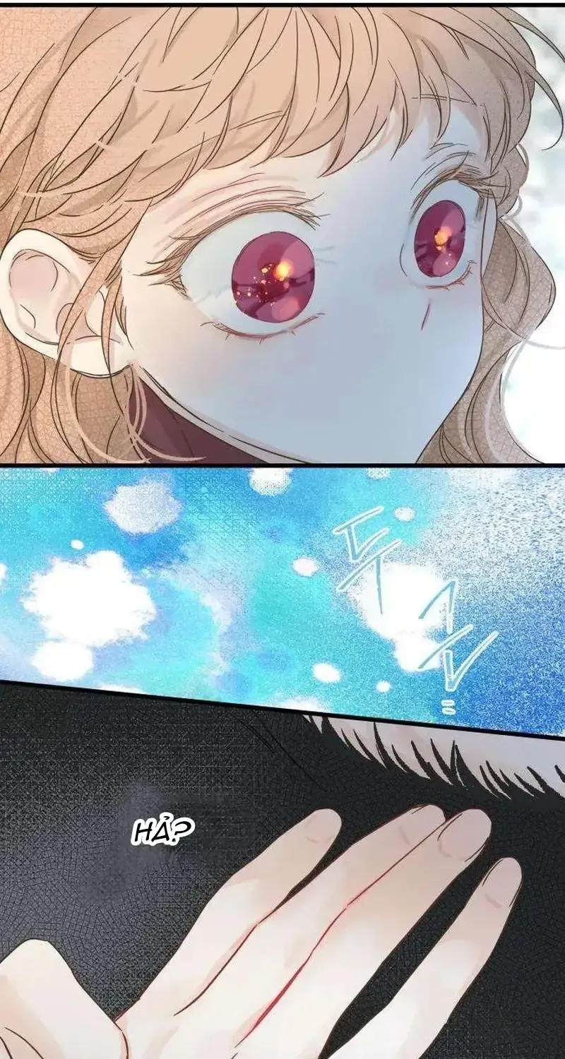 Chapter 4