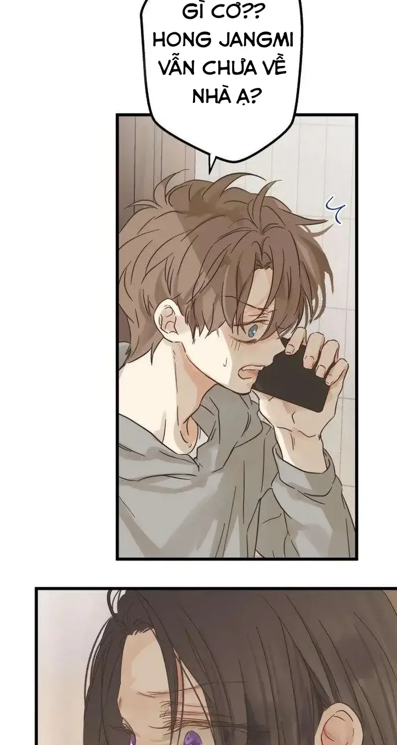 Chapter 4