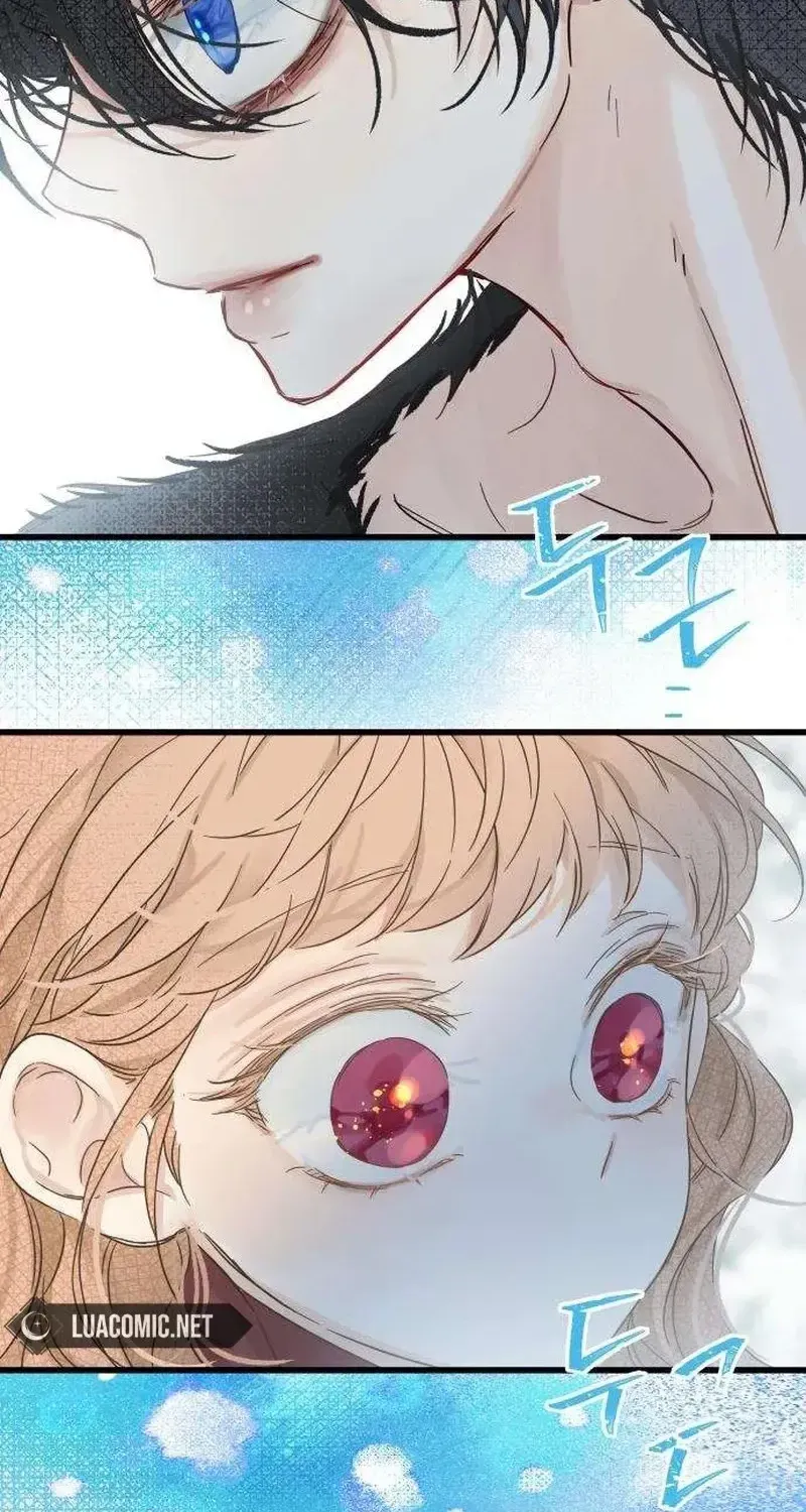 Chapter 4