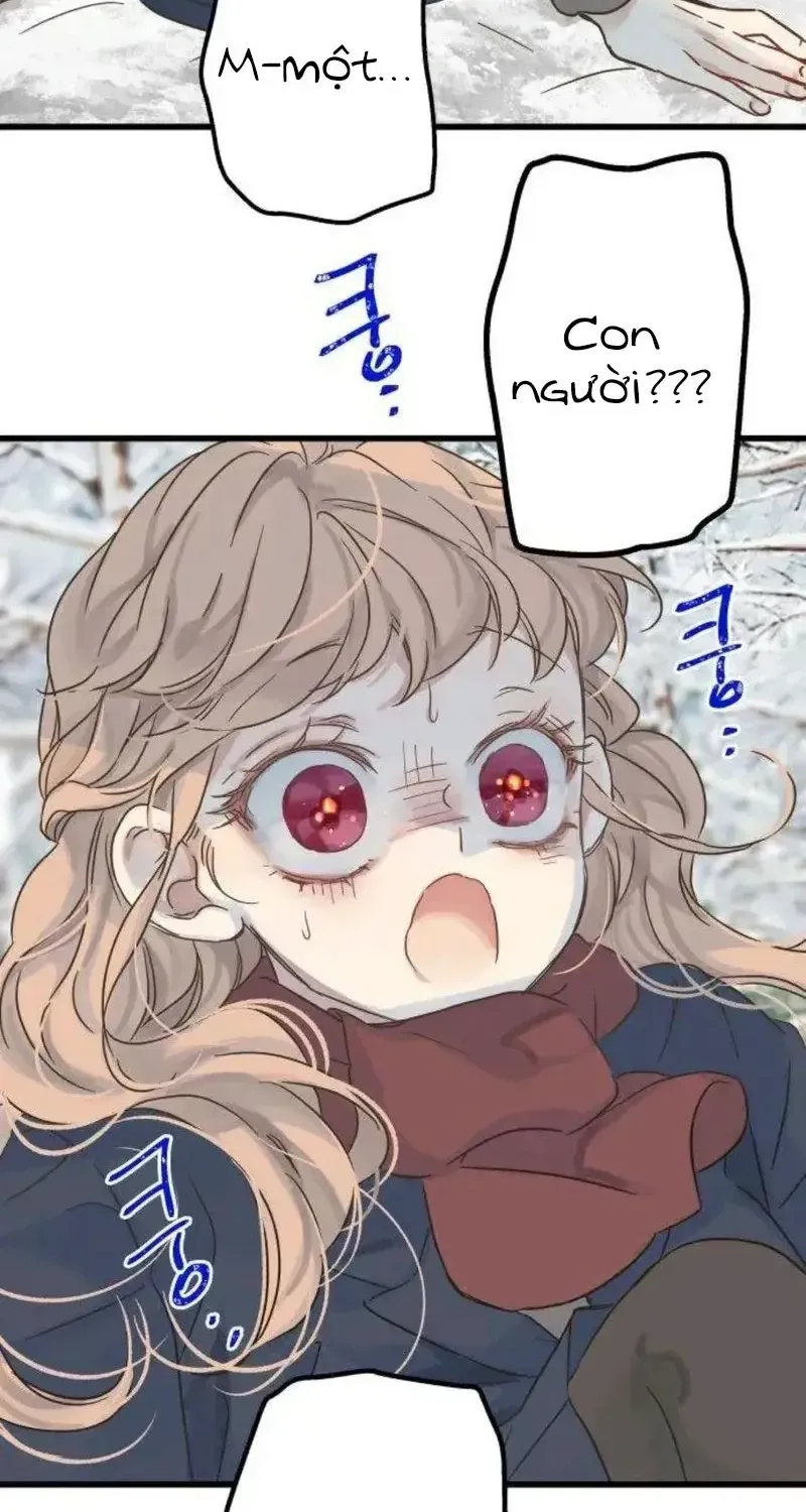 Chapter 5