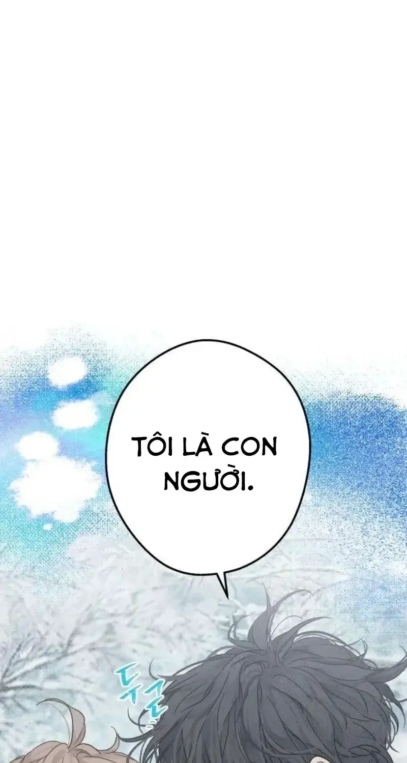 Chapter 5