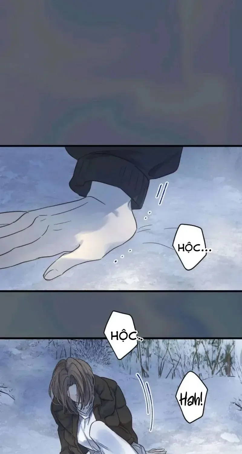 Chapter 5