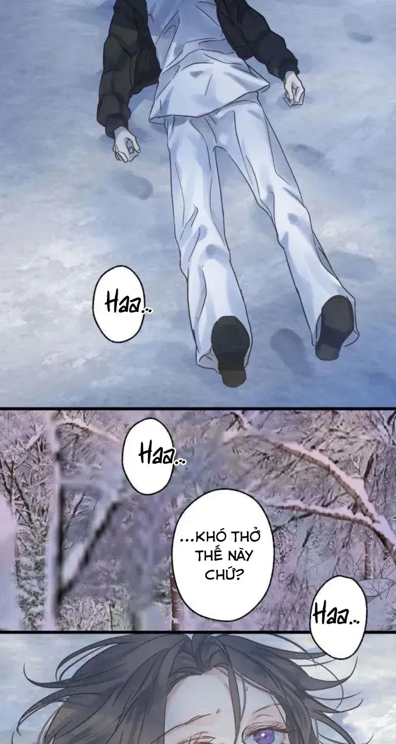 Chapter 5