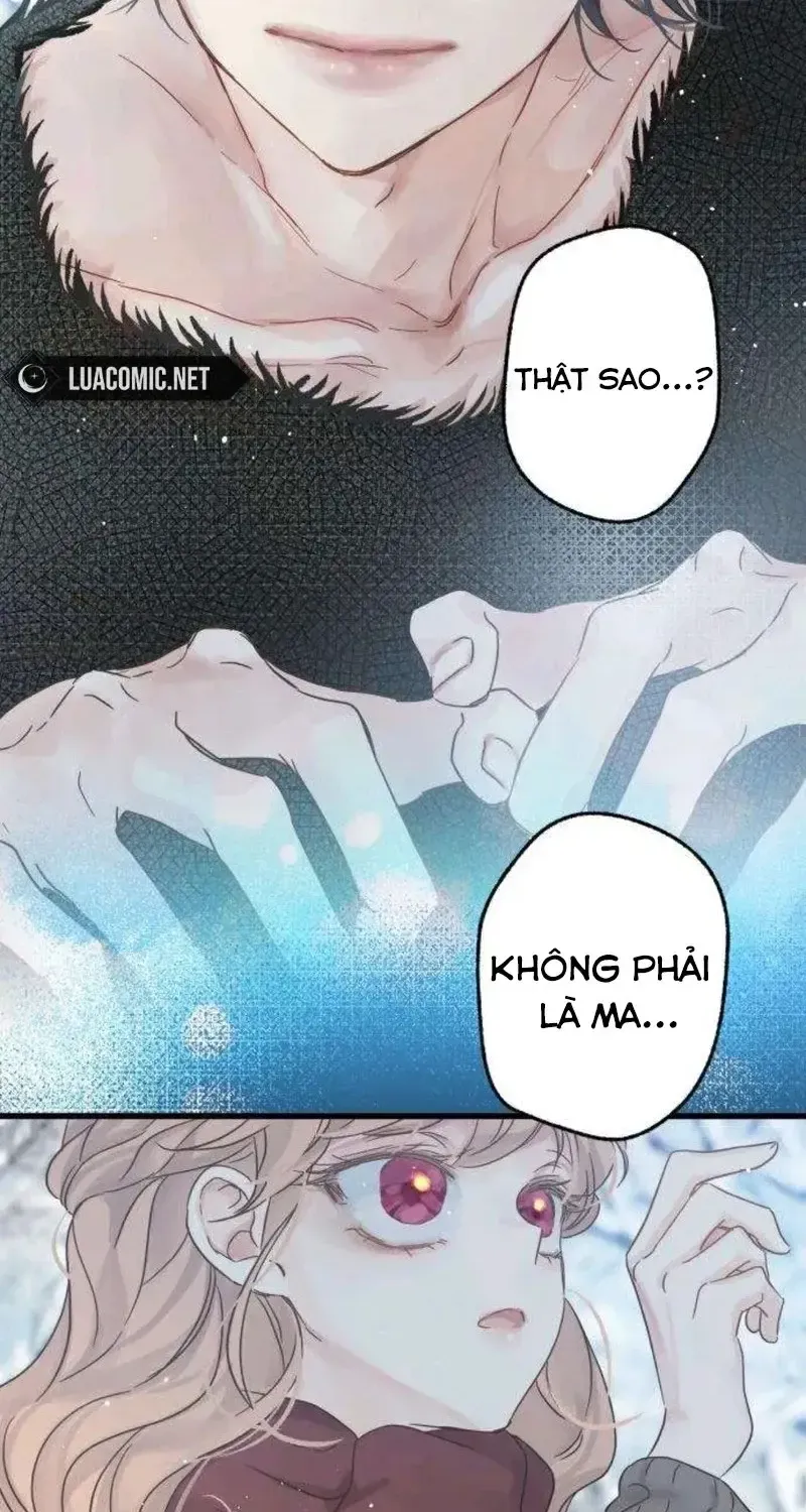 Chapter 5