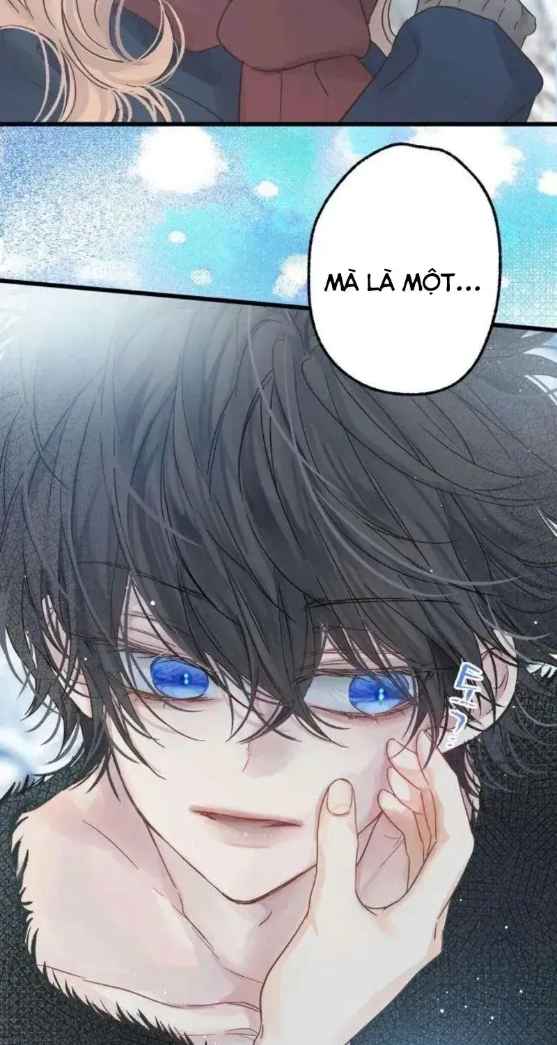 Chapter 5