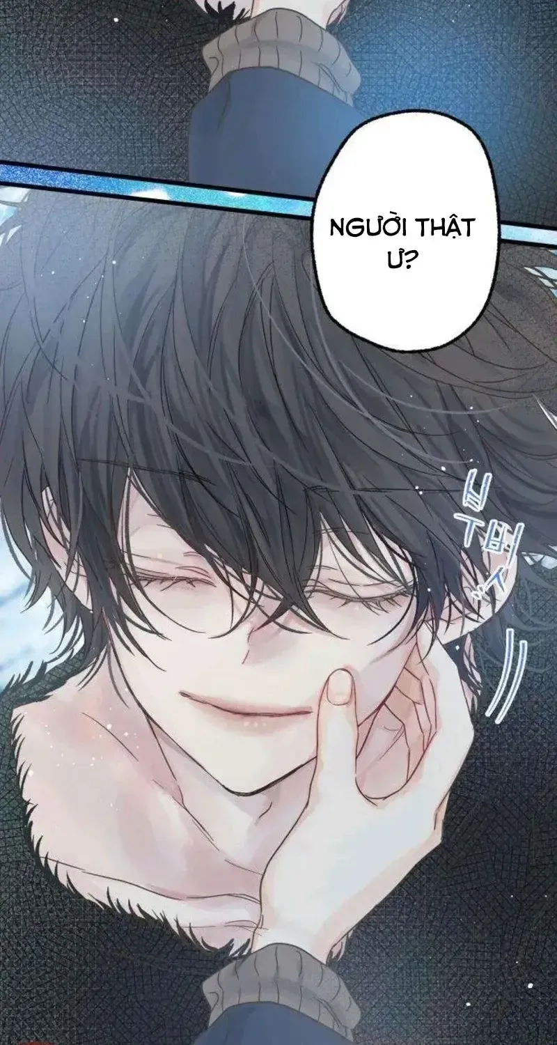 Chapter 5