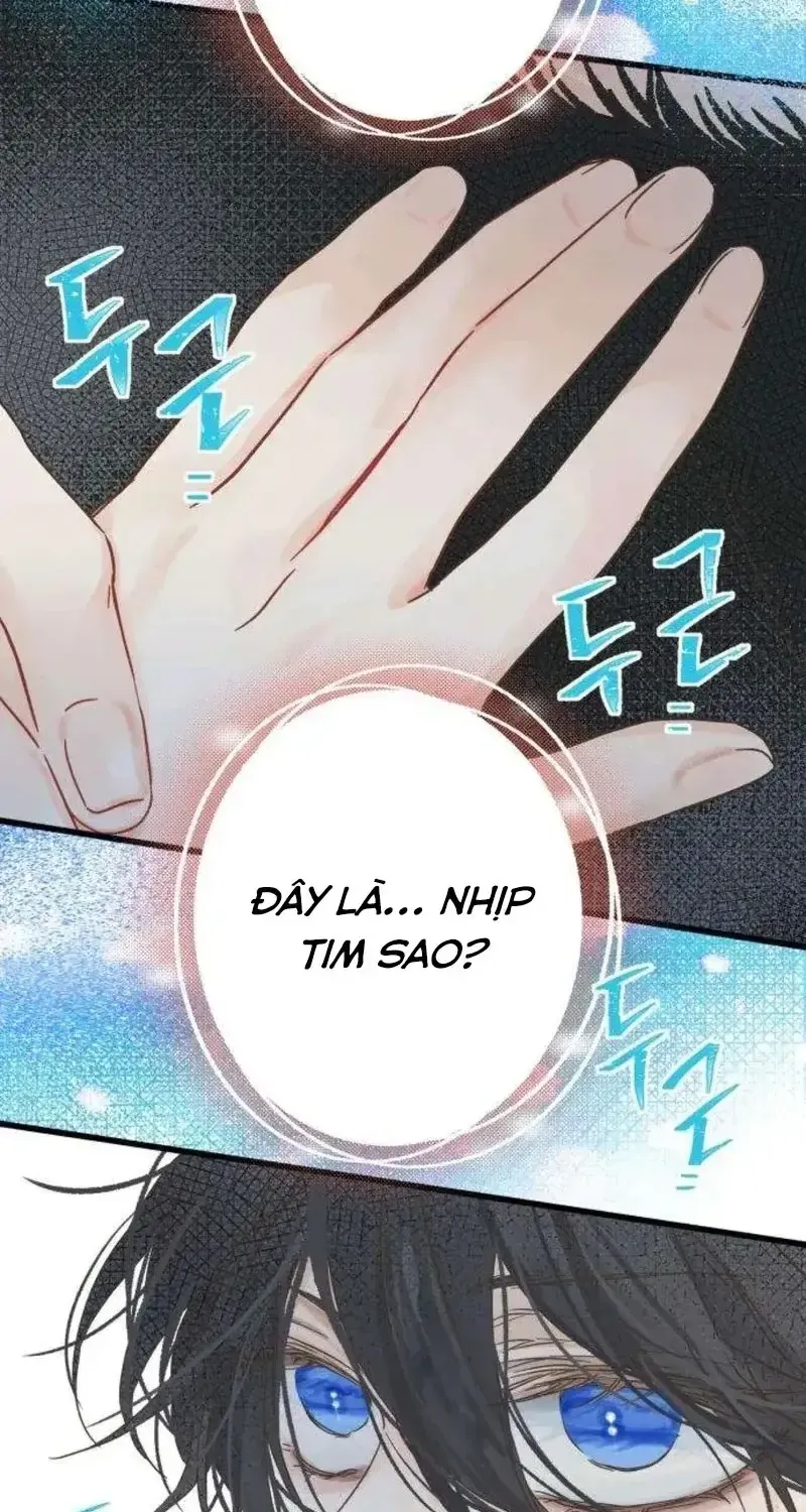 Chapter 5