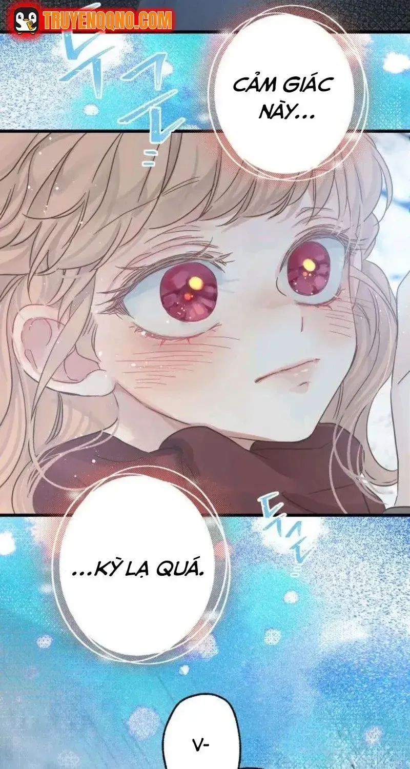 Chapter 5