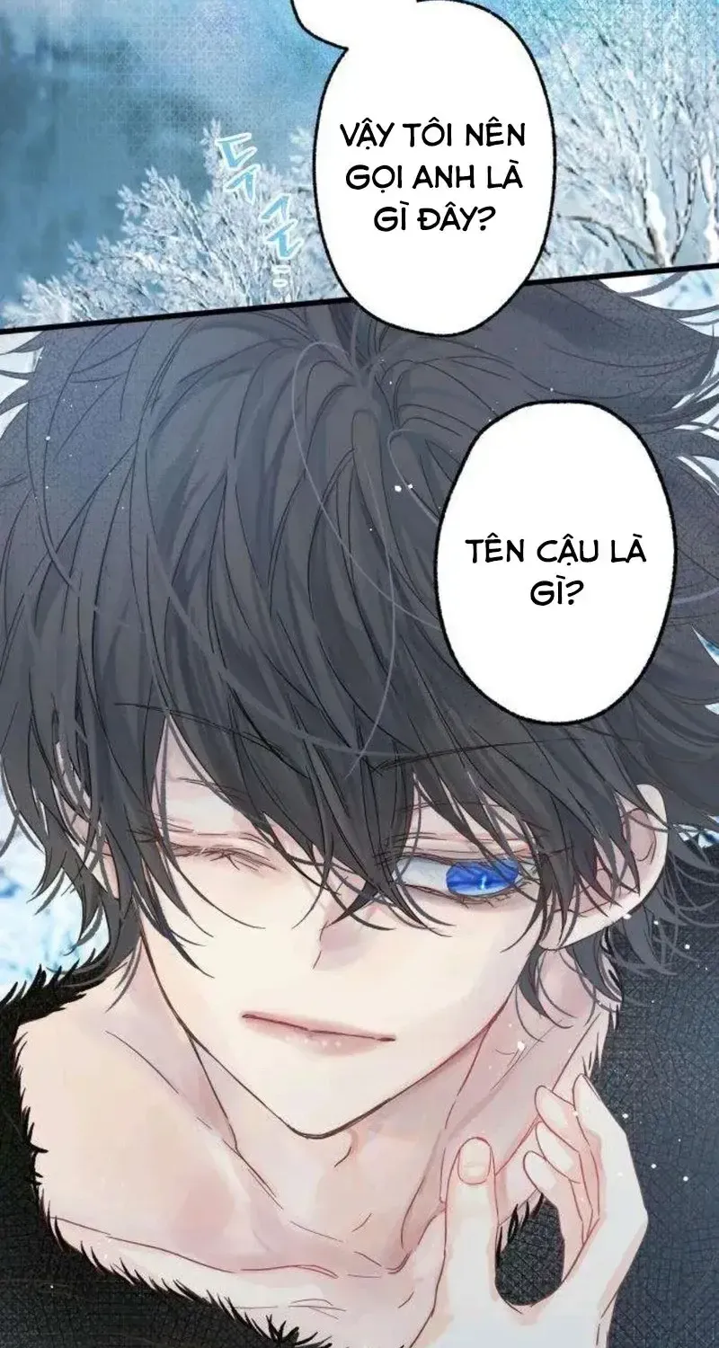 Chapter 5