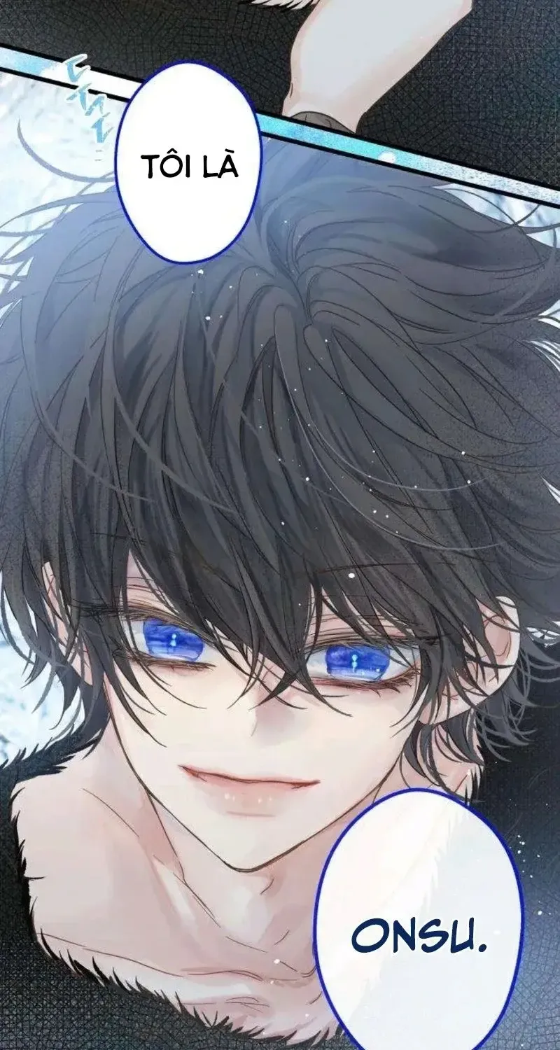 Chapter 5
