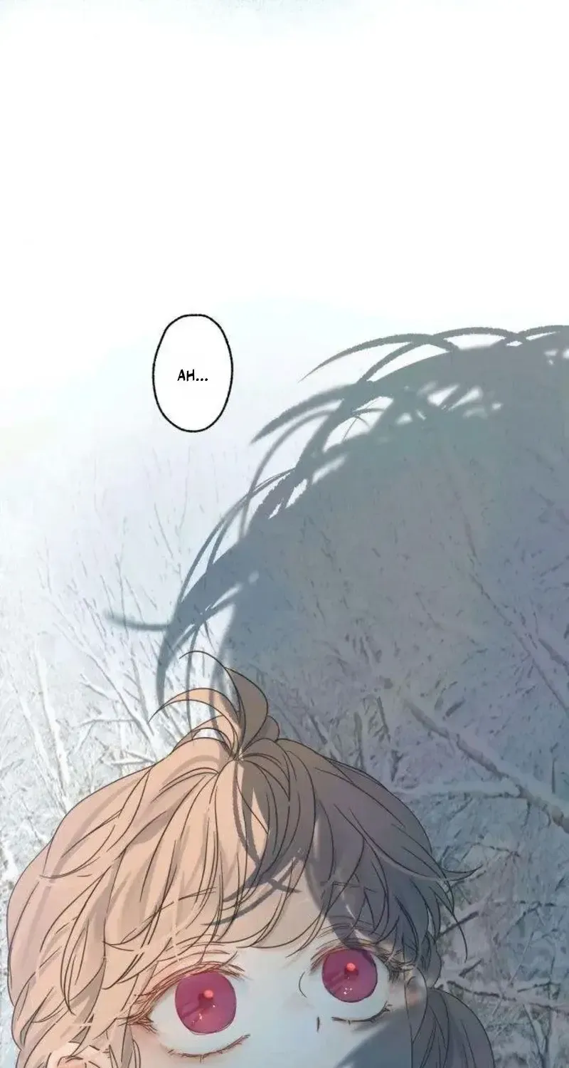 Chapter 5