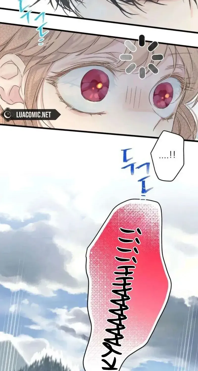 Chapter 5