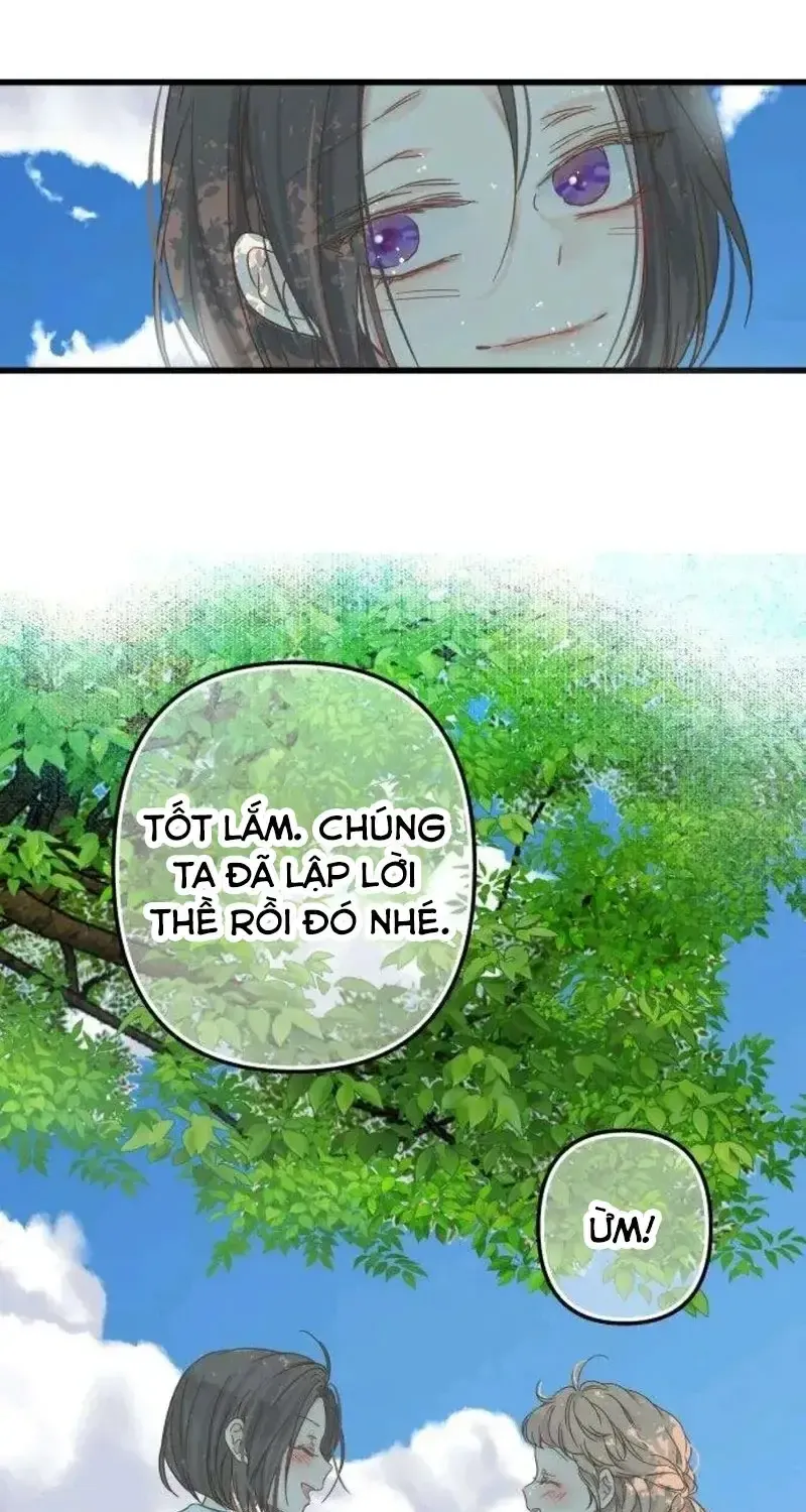 Chapter 5