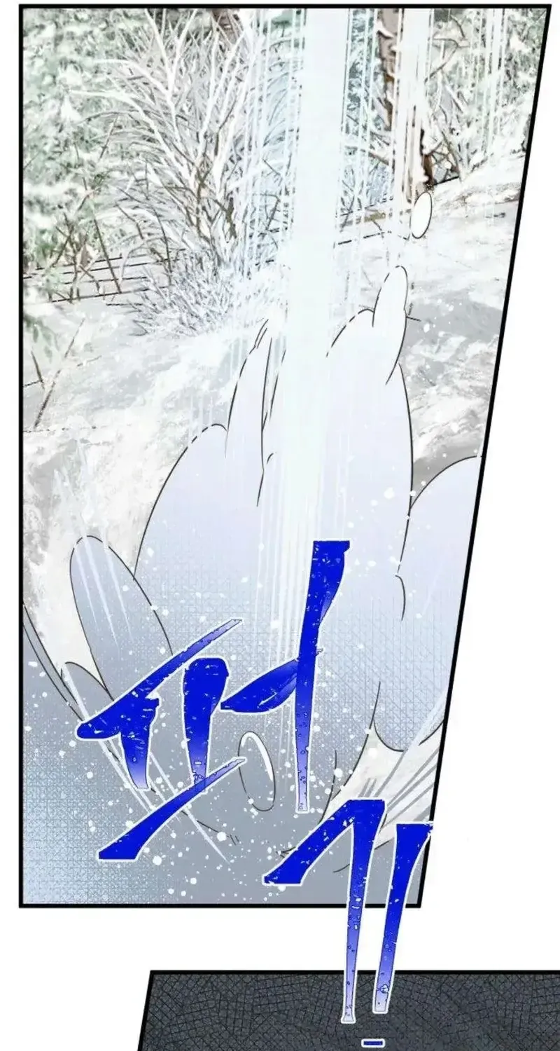 Chapter 5