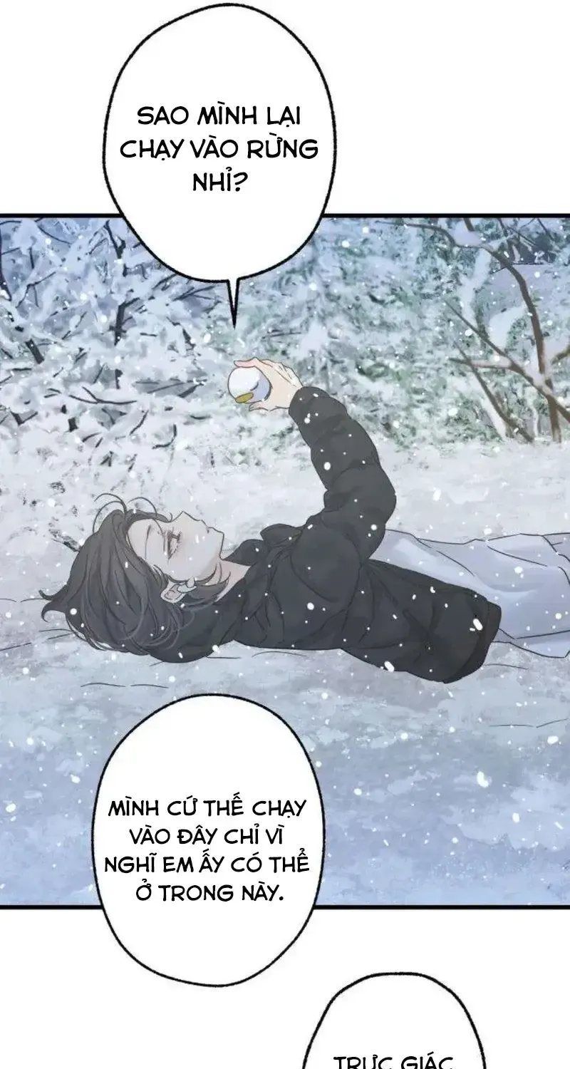 Chapter 5