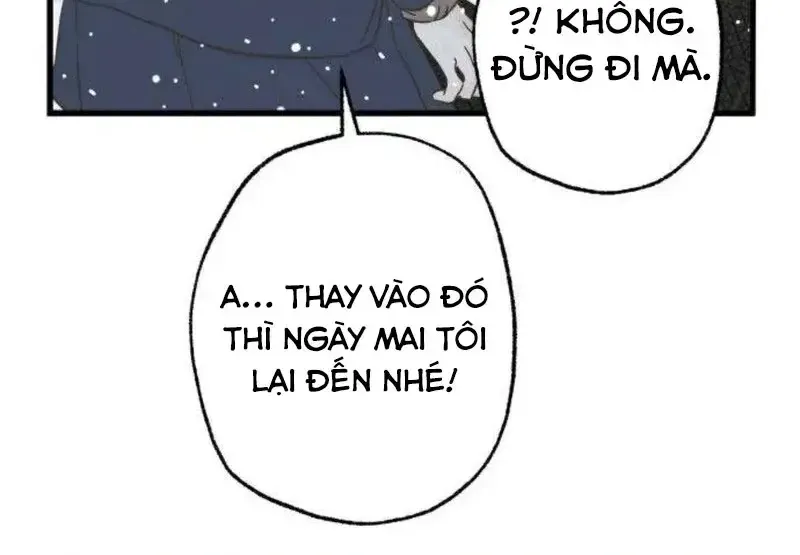 Chapter 5