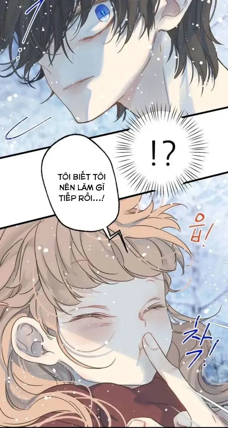 Chapter 5
