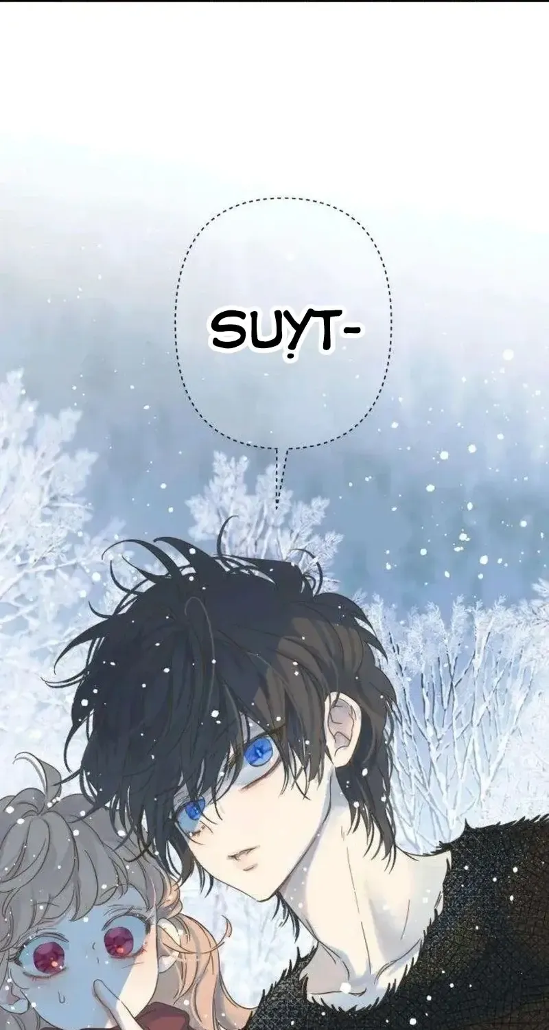 Chapter 5