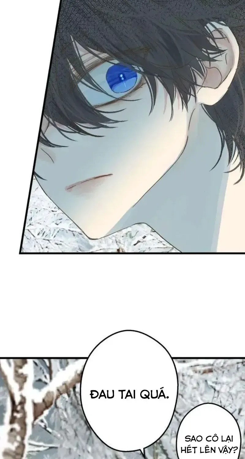 Chapter 5