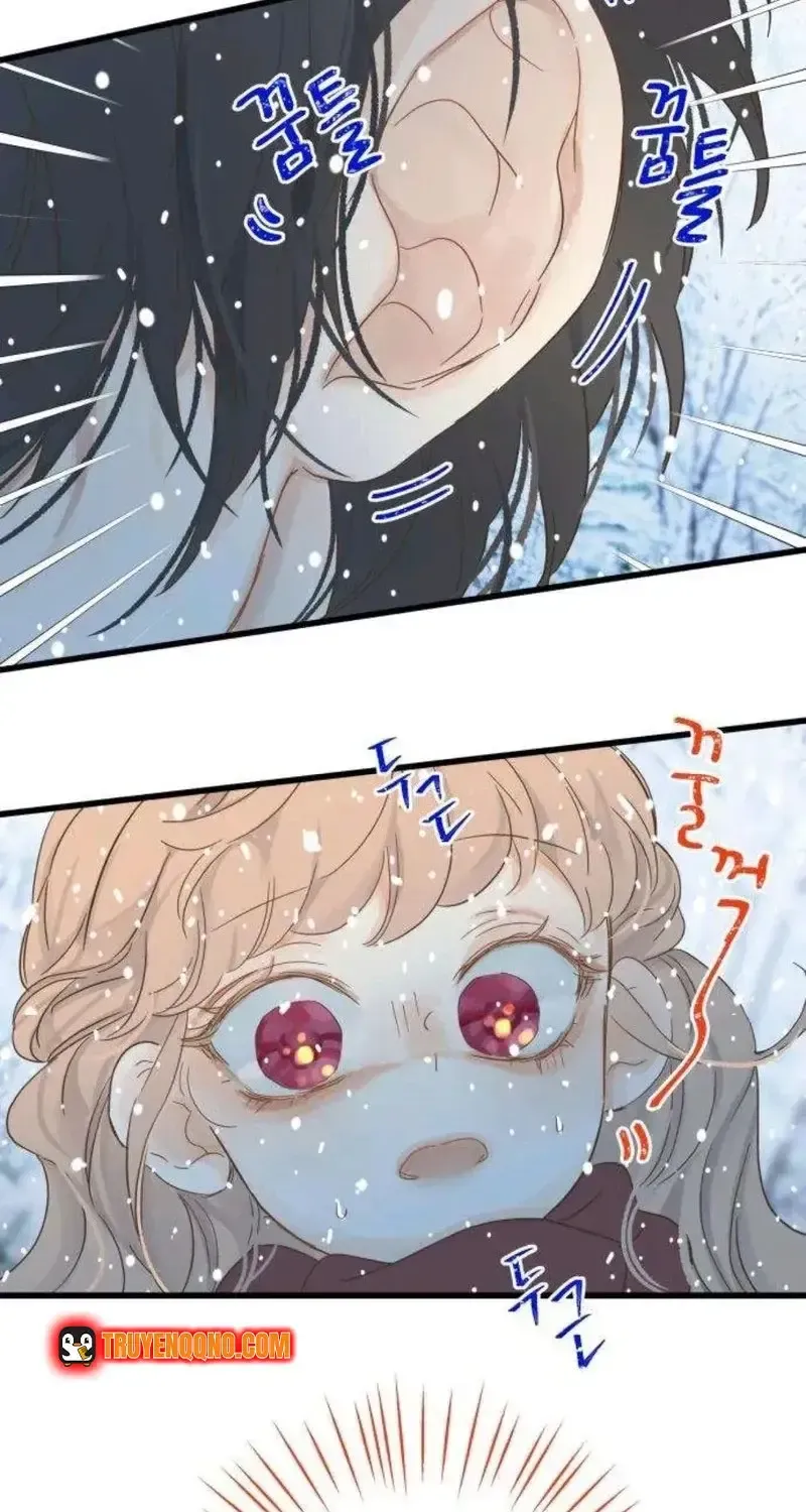 Chapter 5