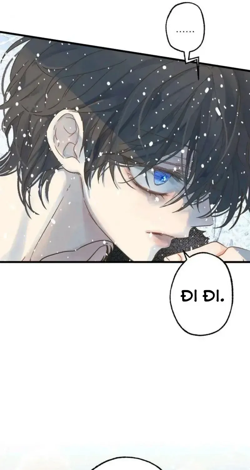 Chapter 5