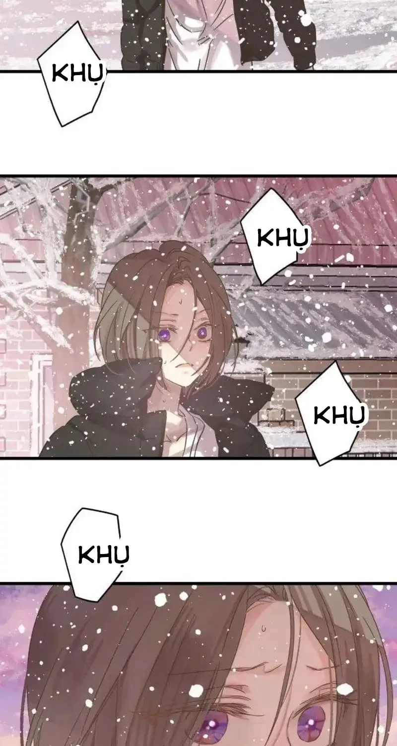 Chapter 5