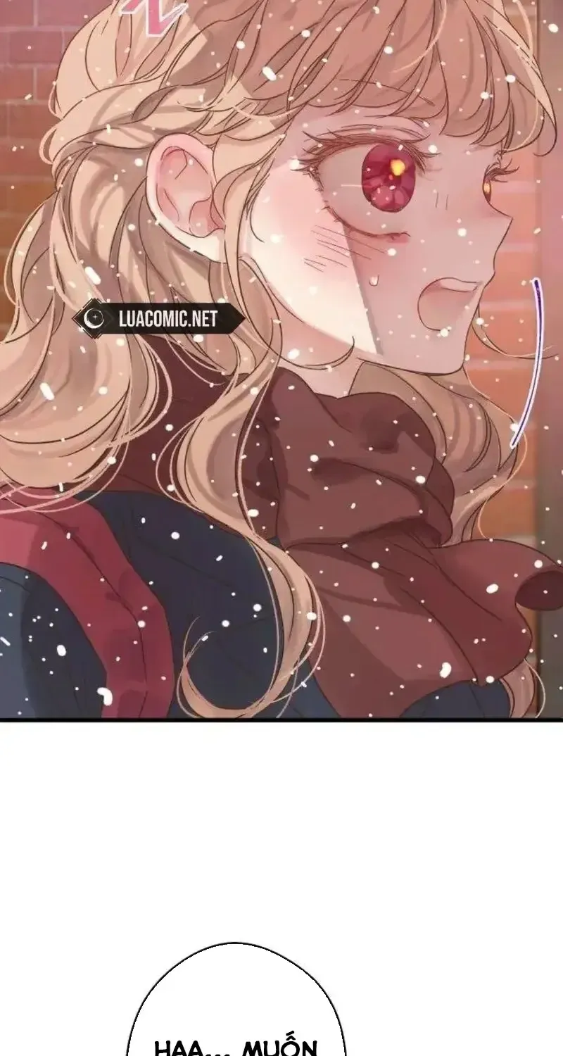 Chapter 6