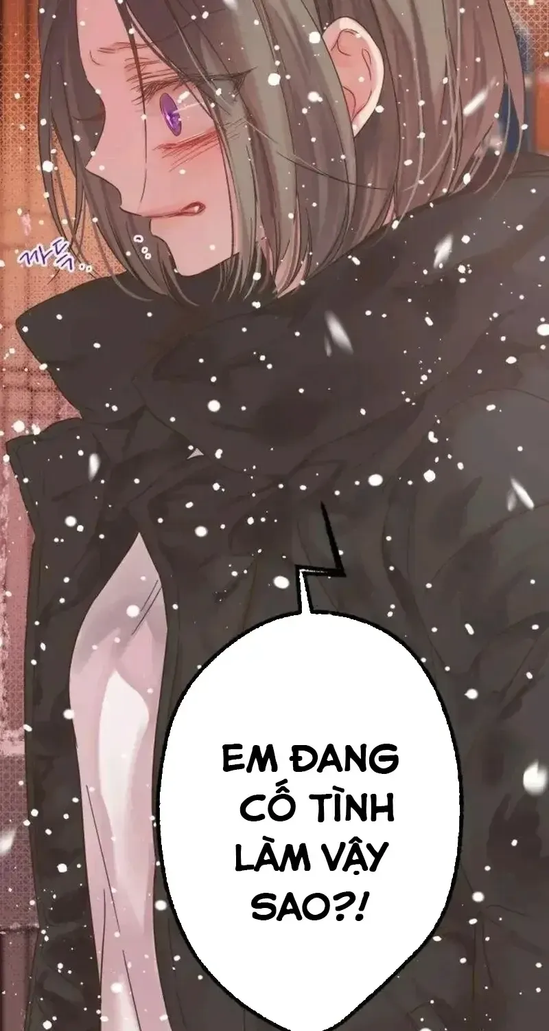 Chapter 6