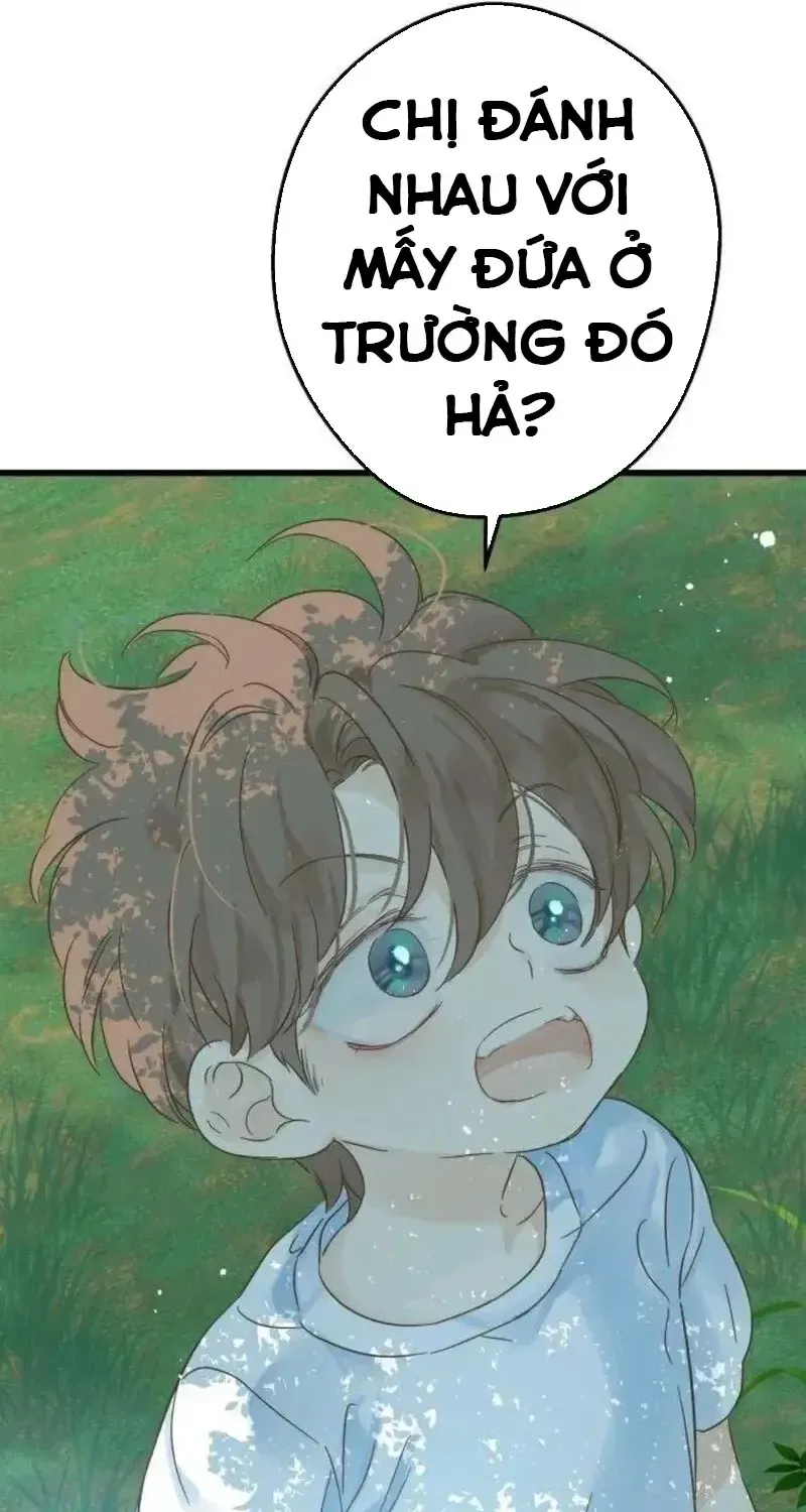 Chapter 6