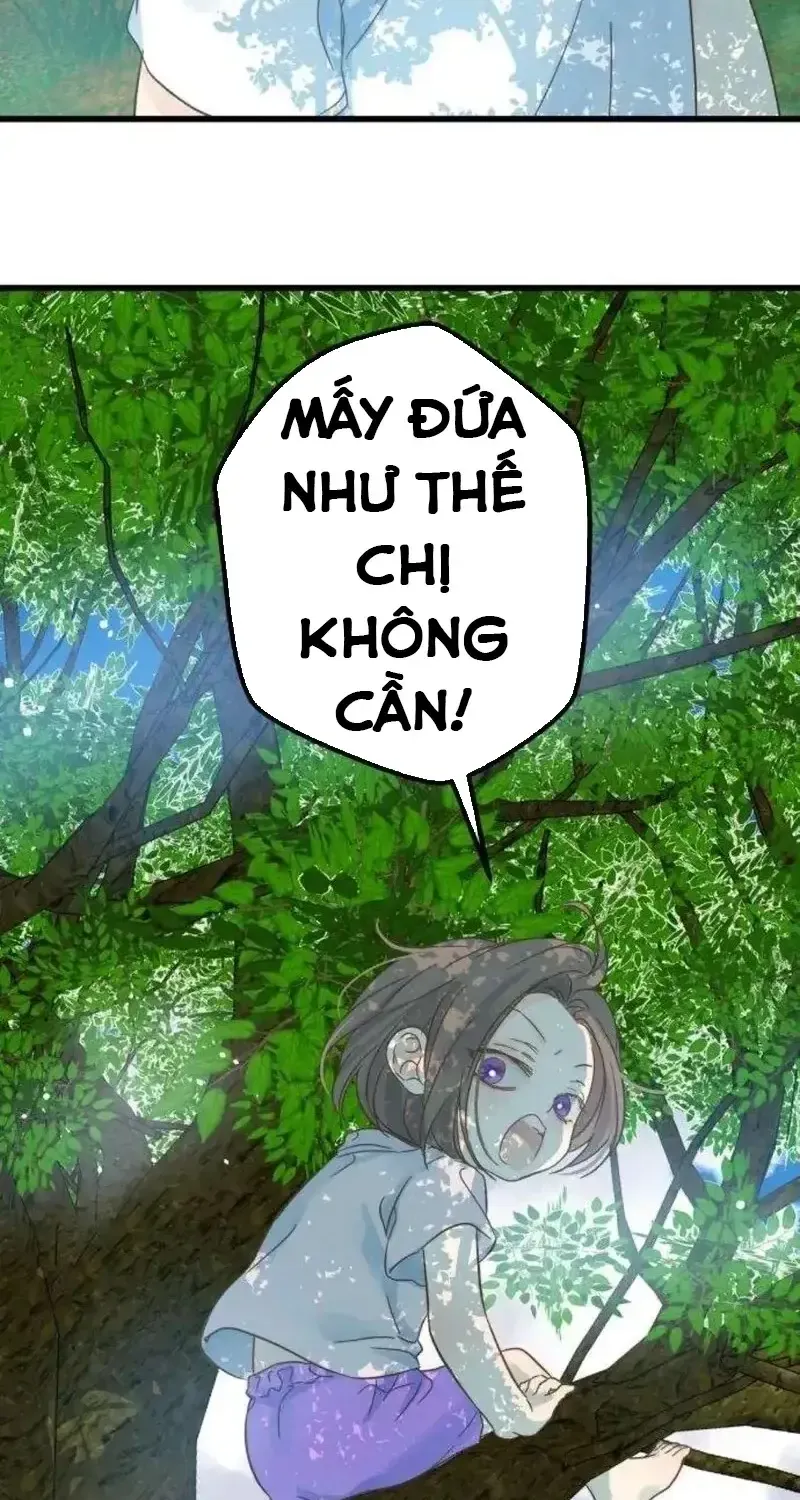 Chapter 6