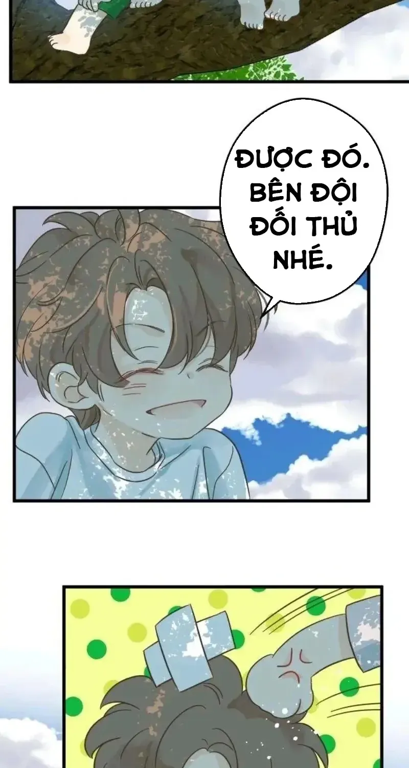 Chapter 6