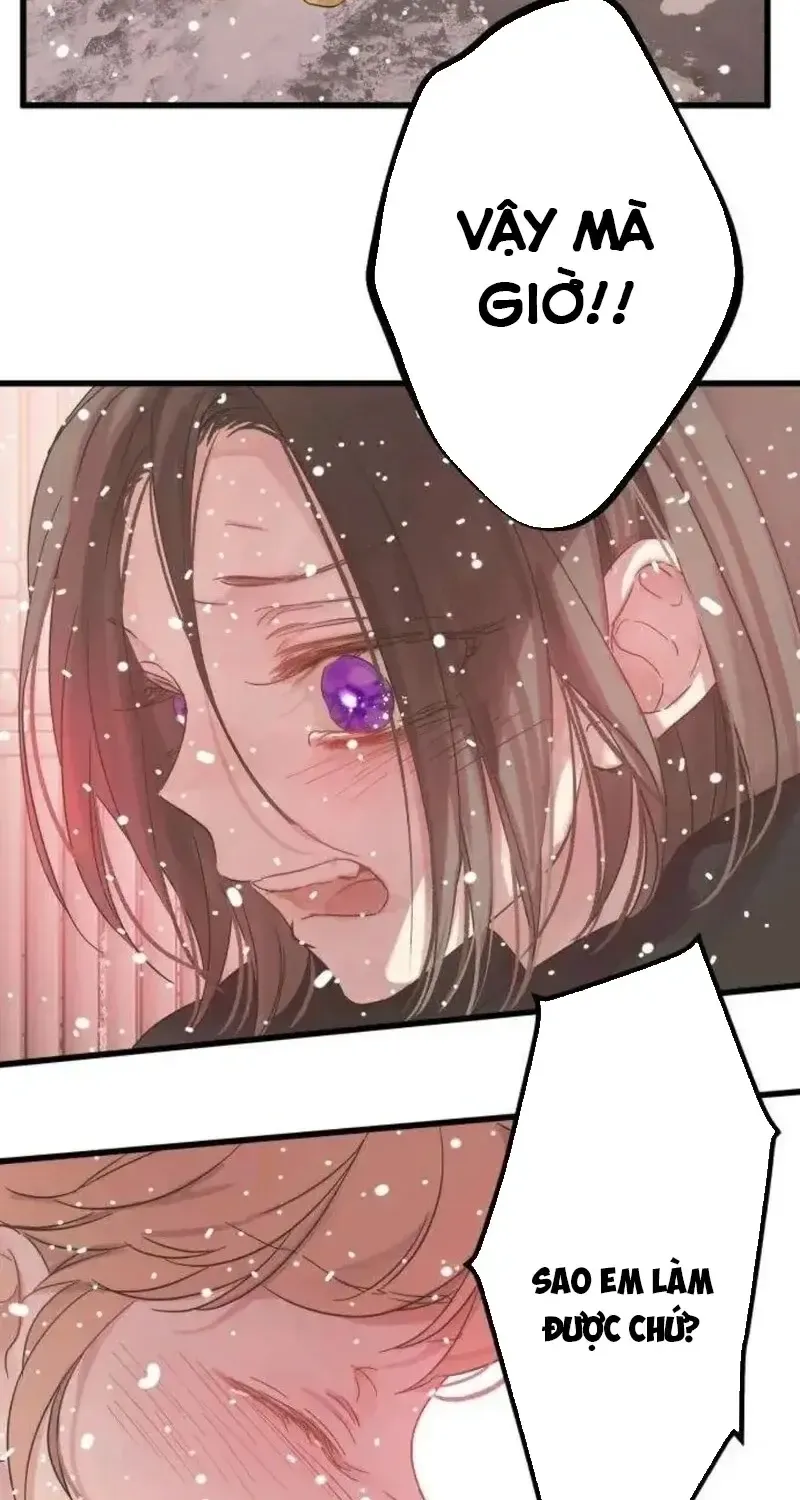 Chapter 6