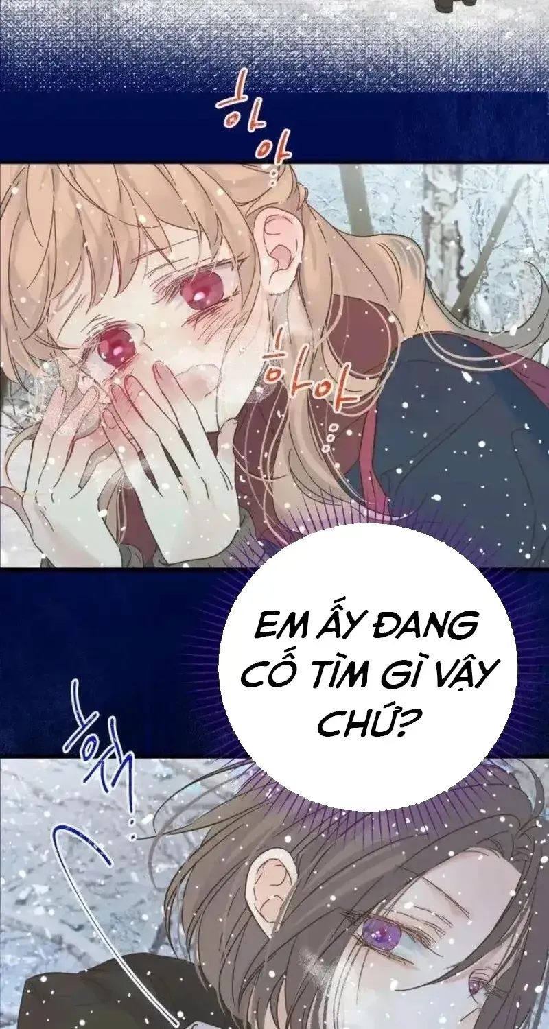 Chapter 6