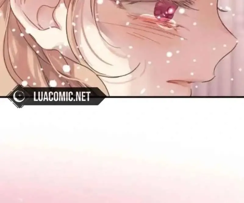 Chapter 7