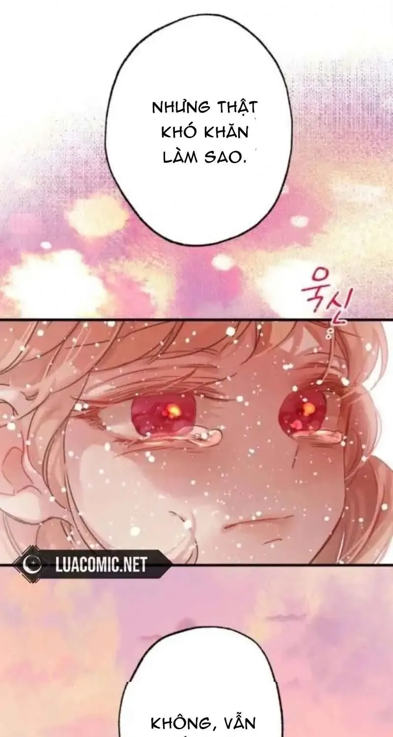 Chapter 7